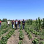 agrida sebze fideleri denetimi ePDUcc1b