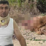 aslan saldirisina ugrayan suleyman kir oldurulmemeliydi suclu olanlar cezasini ceksin LAf6yrjF