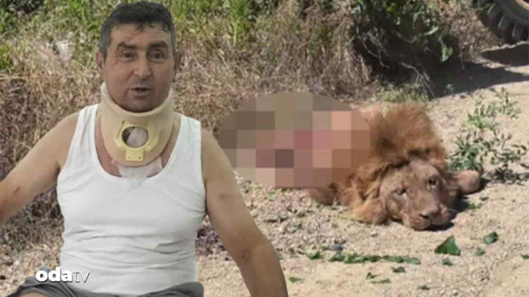 aslan saldirisina ugrayan suleyman kir oldurulmemeliydi suclu olanlar cezasini ceksin LAf6yrjF