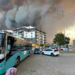 canakkalede orman yangini panige neden oldu KaVliFgQ