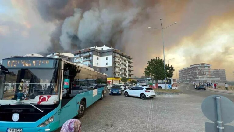 canakkalede orman yangini panige neden oldu KaVliFgQ