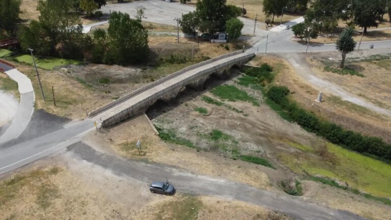 edirnede aycicegi uretimi krizde GDHTPsse