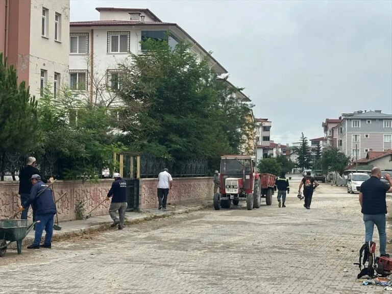 ladikte temizlik seferberligi ZryQSgGG