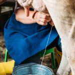 sut ureticileri isyanda litresi 10 liradan veriyoruz bize damlamiyor 2UWzbQtA