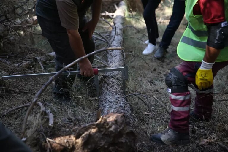 yangin riski ile mucadele icin orman bakim calismalari CuezRbdD