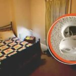 ask santaj ve tehdit depremi mhpli baskan istifa etti NgEurYyA