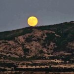 bitliste kanli ay tutulmasi h9RnHbdu