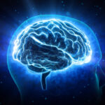 dusunceleri okuyan beyin implanti gelistirildi Rp2WGxGv