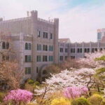 guney kore dongduk kadin universitesinde turkce program basliyor egitimde ipek yolu PbGzgAH1