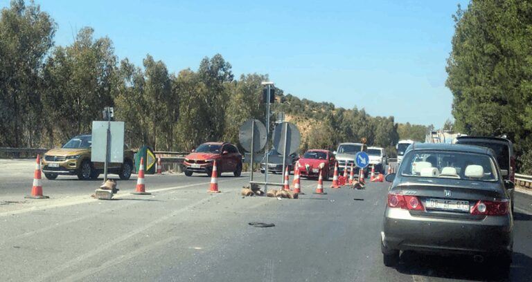 izmir aydin otoyolu kabus oldu BJDqKcCP