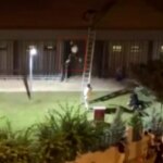 mersinde konserde siddet guvenlik gorevlisi tutuklandi SkOvDbwI