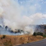 sivasin zara ilcesinde orman yangini 9gV2PauT