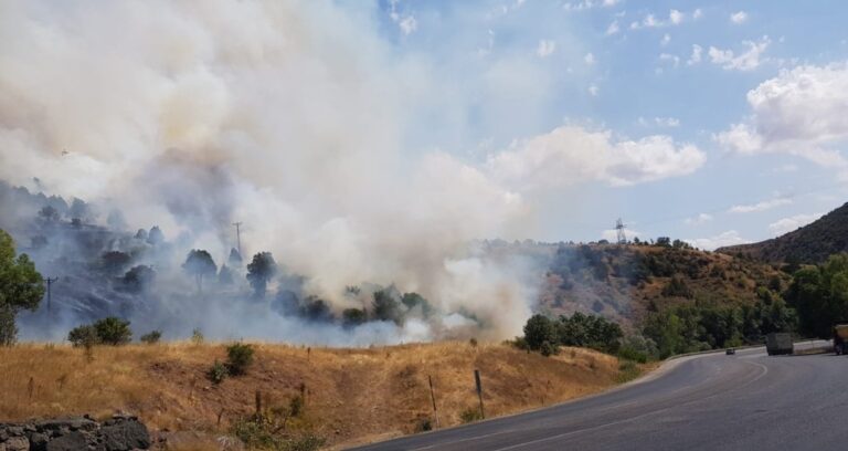 sivasin zara ilcesinde orman yangini 9gV2PauT