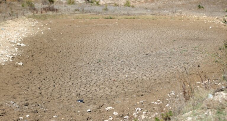 taslik goletinden kahreden manzara kurak araziye dondu EHL4jbGa