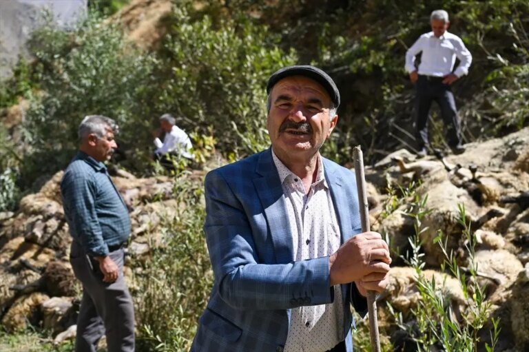 vanda 334 kucukbas hayvan telef oldu IJDV9WTy