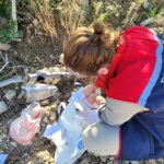 buharkentte zeytin ve incir bahcelerinde zararlilarla mucadele devam ediyor wEWIOVmw.jpg