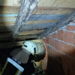 evin catisinda yaban arisi panigi itfaiye ekipleri cikardi BDVKqRXT.jpg