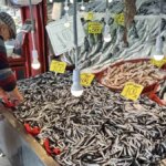 karabukte hamsi bereketi kilo 100 tl a1ieYbWq.jpg