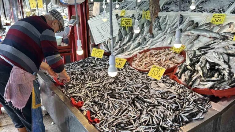 karabukte hamsi bereketi kilo 100 tl a1ieYbWq.jpg