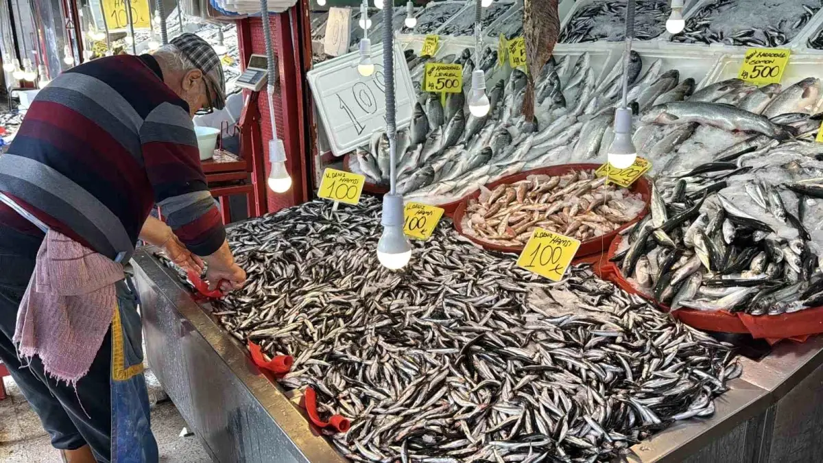 karabukte hamsi bereketi kilo 100 tl a1ieYbWq.jpg