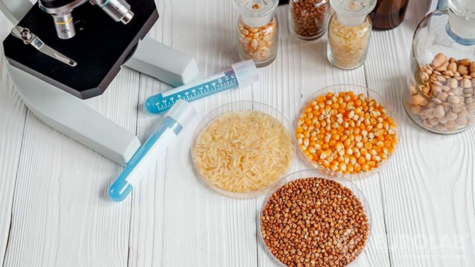 tmr ve kaba yemlerde yem analizi makinesi avantajlari Czklhk9k