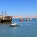 vanda gazze icin destek eylemi lgrciD2a