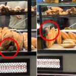 firinda cekilen bu goruntuyu paylasmamasi icin 420 bin lira teklif edildi 21KC6gUn.jpg