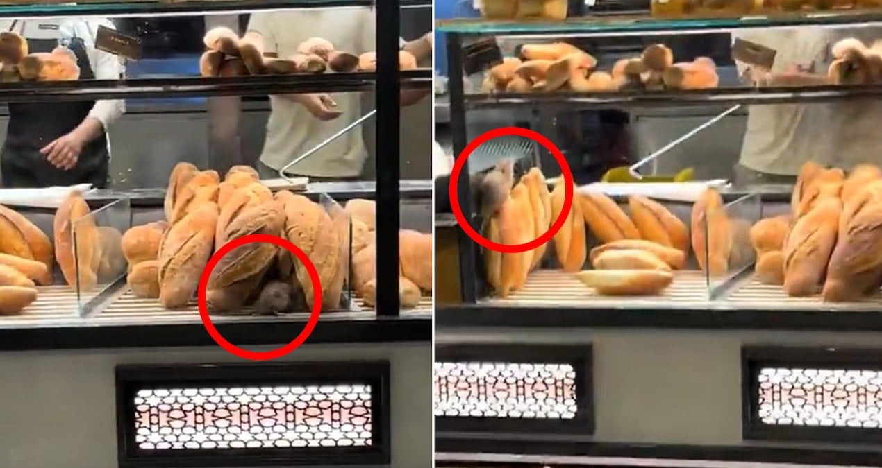 firinda cekilen bu goruntuyu paylasmamasi icin 420 bin lira teklif edildi 21KC6gUn.jpg