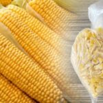 misiri catalla siyir hasla dondurucuya at 12 ay tazecik kaliyor fYKNwx4v.jpg