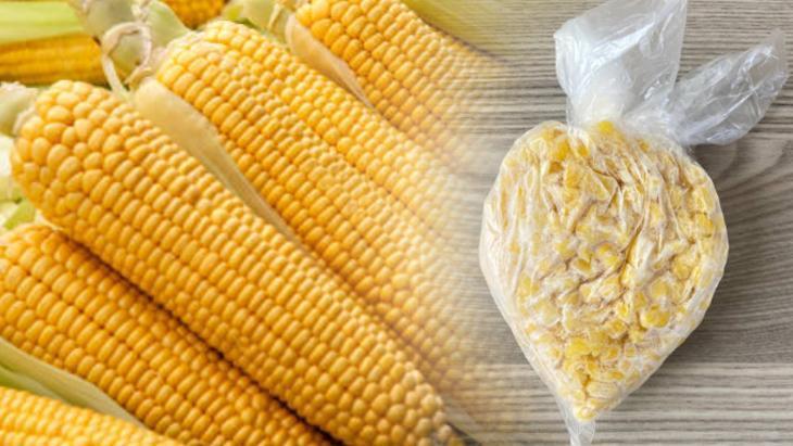 misiri catalla siyir hasla dondurucuya at 12 ay tazecik kaliyor fYKNwx4v.jpg