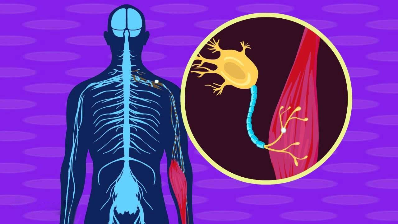 MIT’nin Devrim Niteliğindeki Bululuşu: Beyin Hastalıklarının Teşhisinde 25 Kat Hızlanma