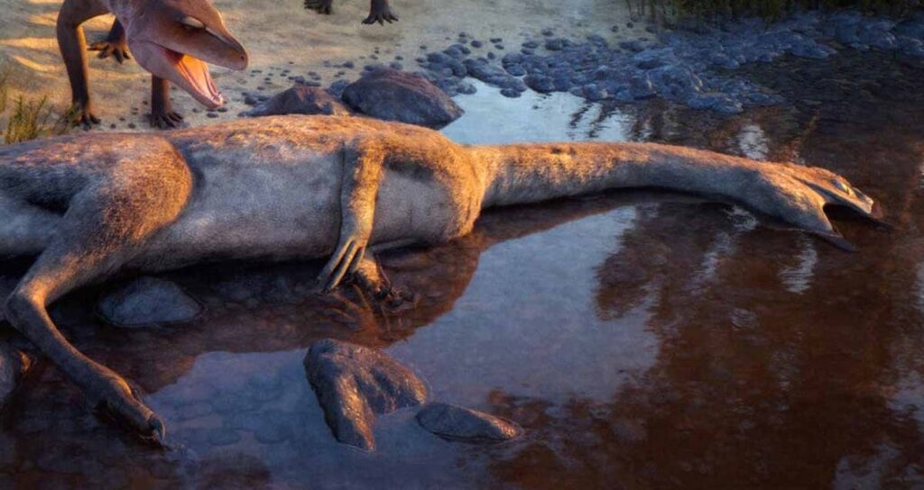 tam-76-yil-bekledikten-sonra-tuhaf-bir-yaratik-ortaya-cikti-cc3mJjhF